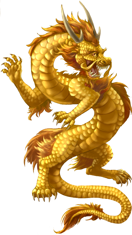 Chinese Dragon PNG Photo
