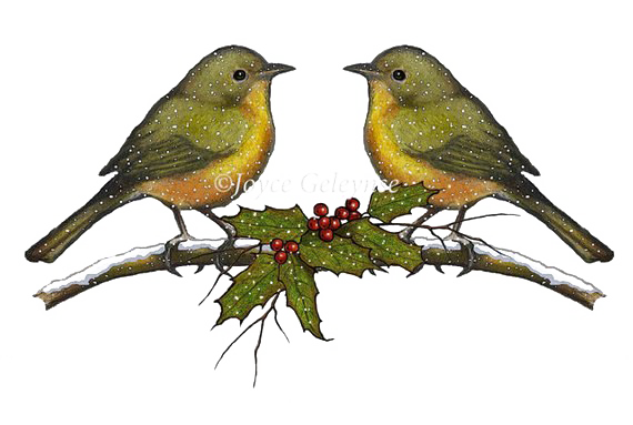 Christmas Birds Download Transparent PNG Image