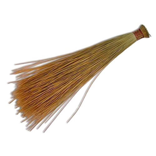 Coconut Broom PNG High-Quality Image