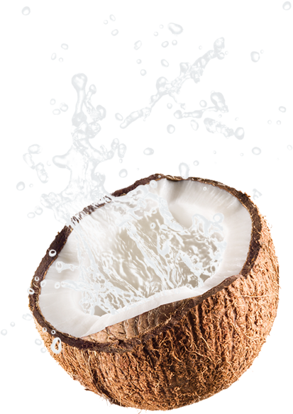 Coconut Gratis PNG-Afbeelding