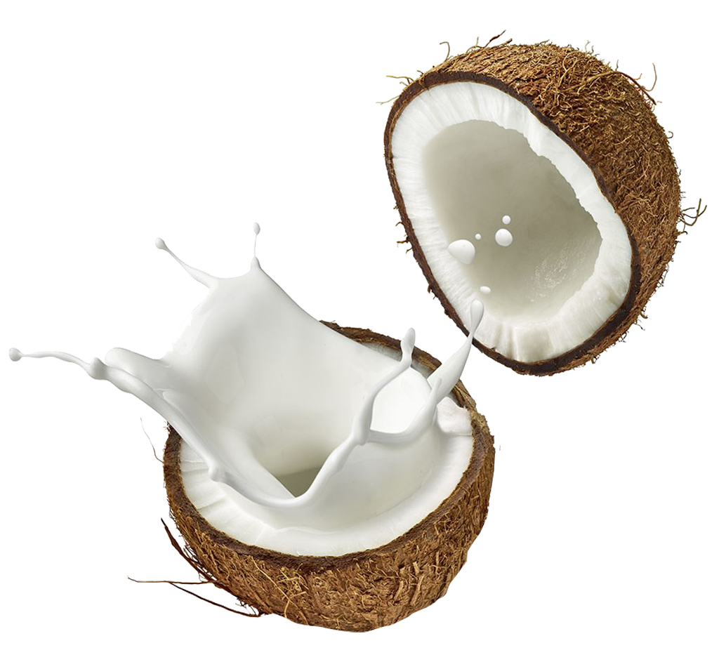 Coconut PNG achtergrondafbeelding