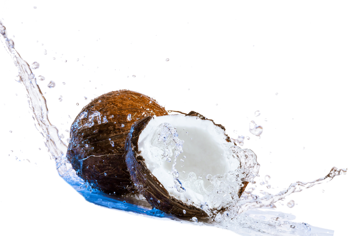 Coconut PNG Download Image