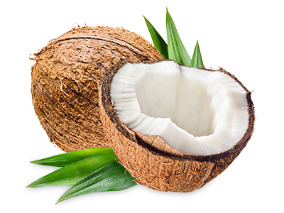 Coconut PNG Foto