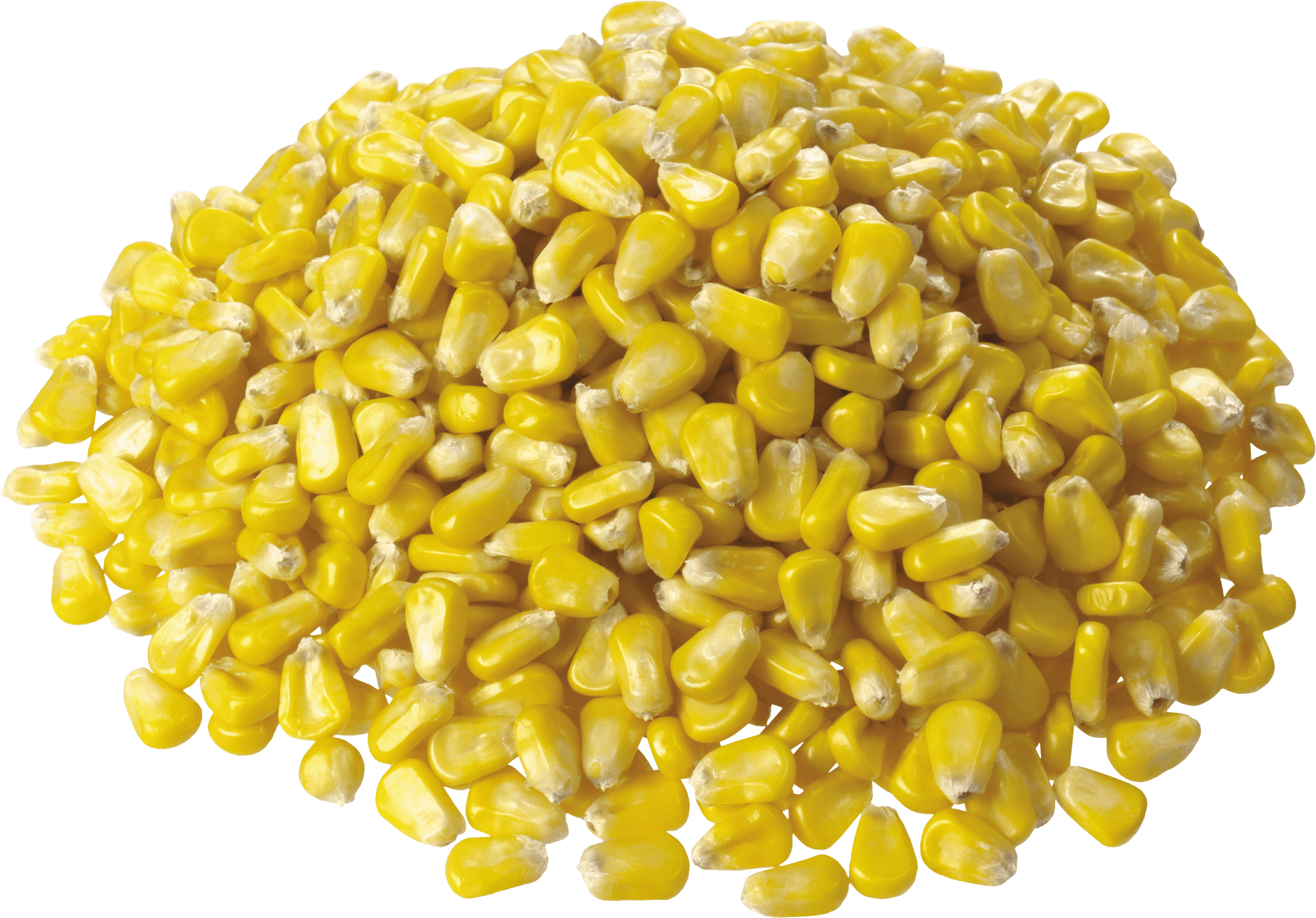 Corn PNG Image Transparent Background
