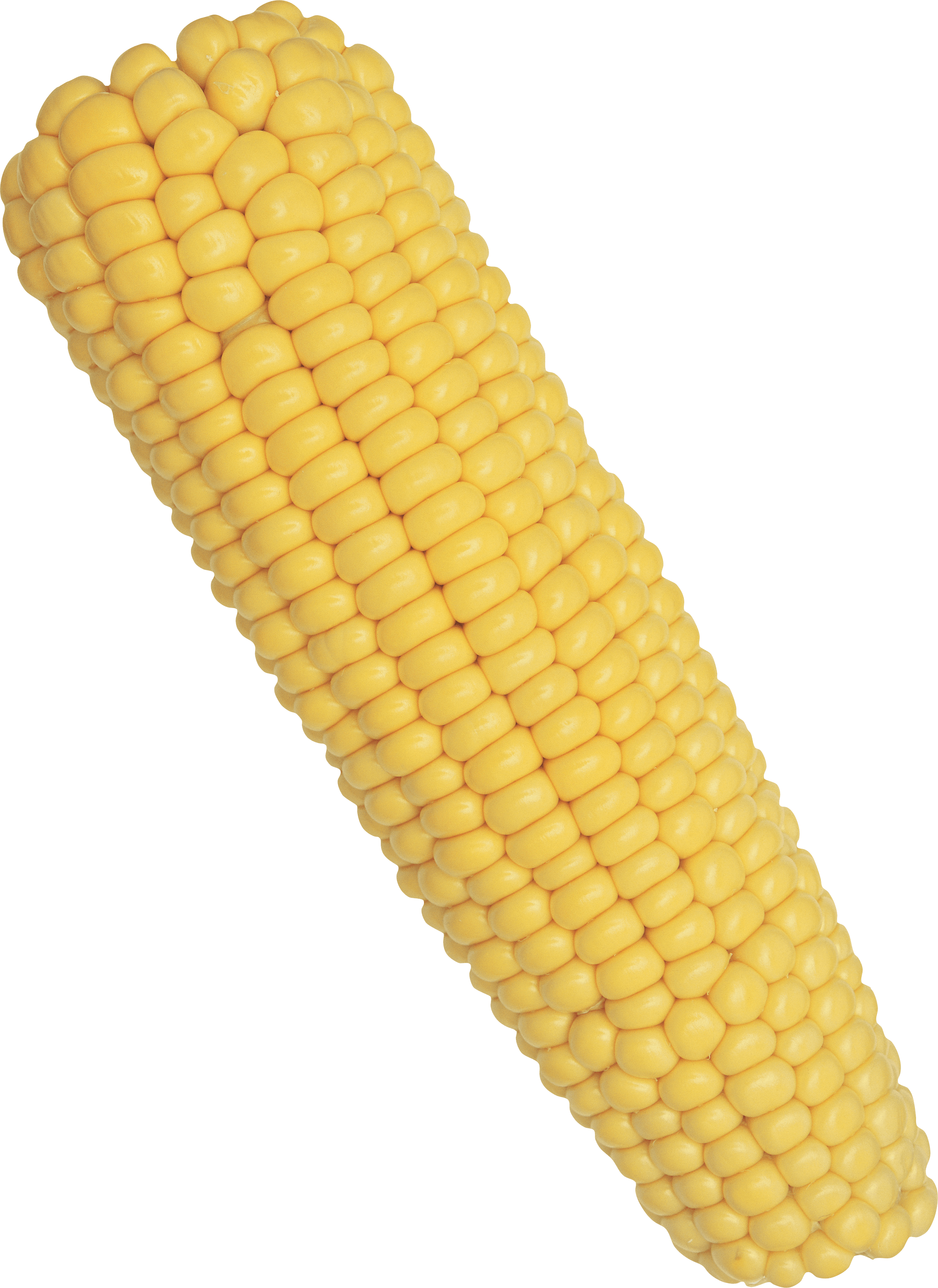 Corn PNG Photo