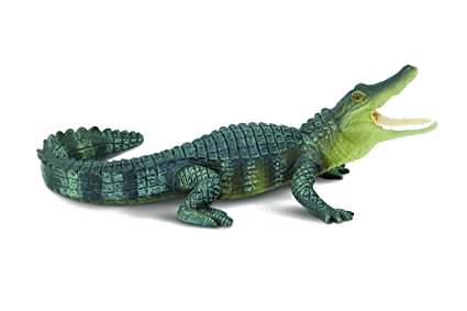 Crocodile PNG High-Quality Image