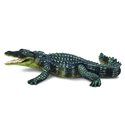 Crocodile PNG Photo