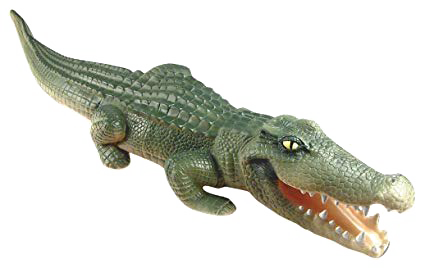 Crocodile PNG Transparent Image