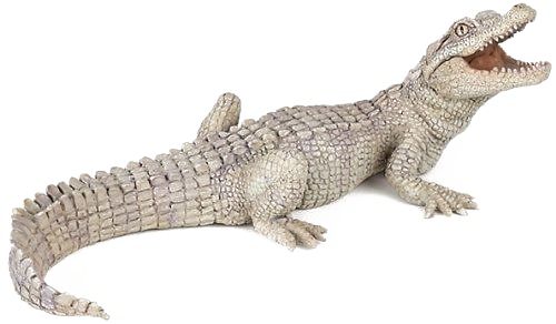 Crocodile Transparent Background PNG