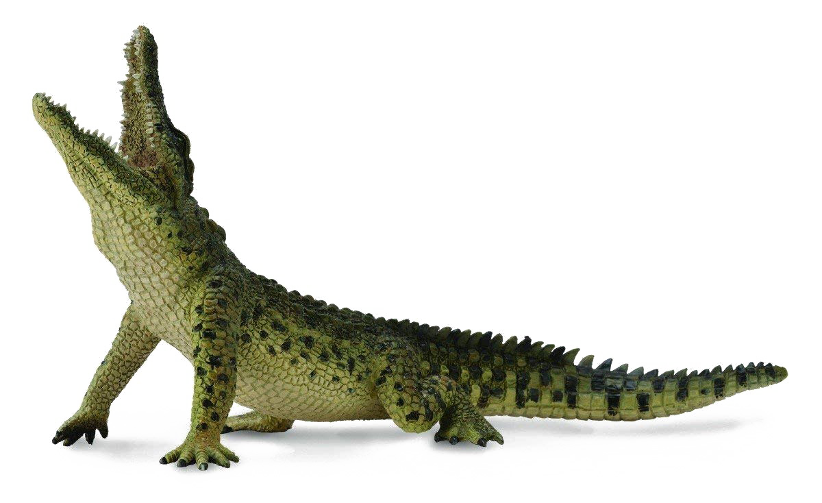 Crocodile Transparent Image