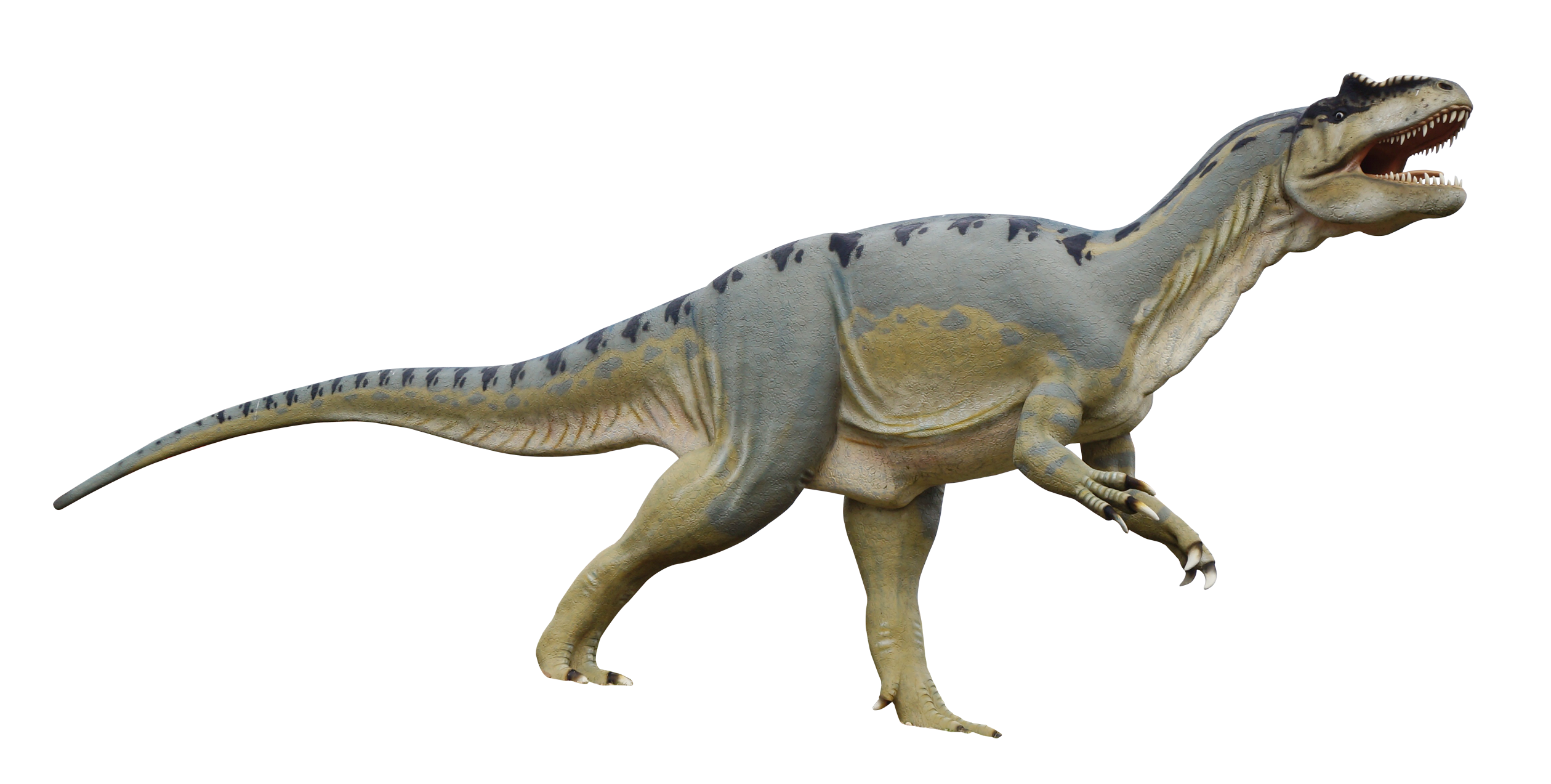 Dinosaur Download Transparent PNG Image