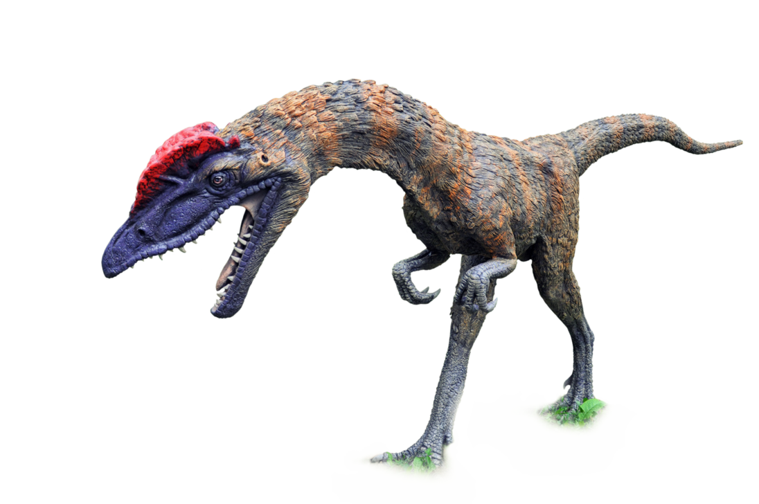 Immagine del PNG libera del dinosauro