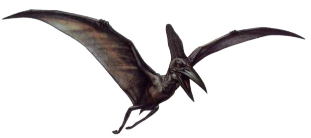 Dinosaur PNG Image Transparent