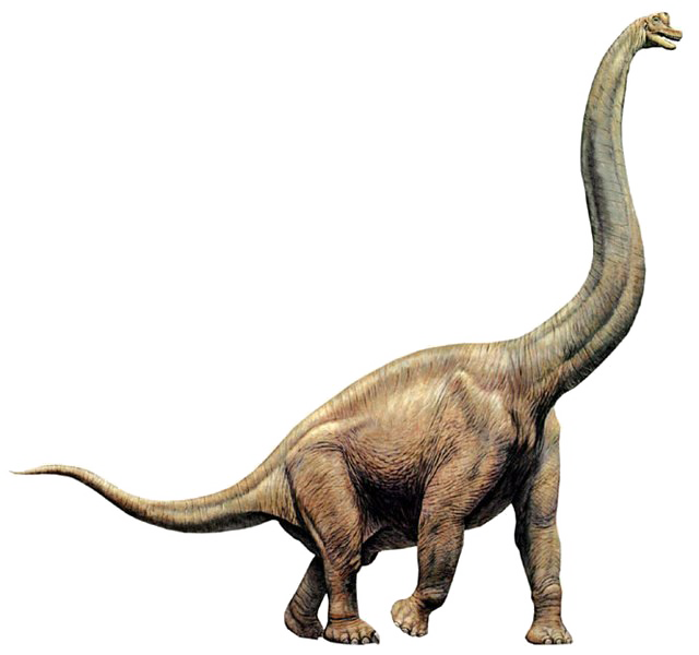 Dinosaur Transparent Image