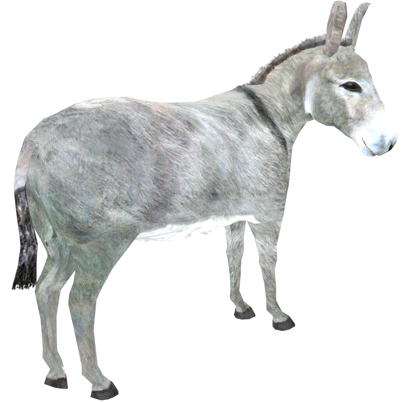 Donkey PNG Download Image