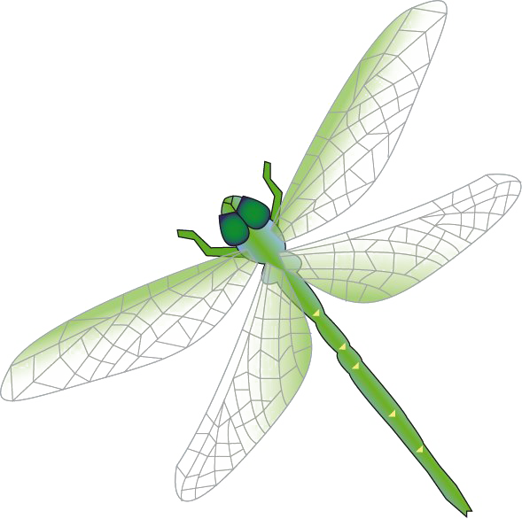 Dragonfly PNG Free Download