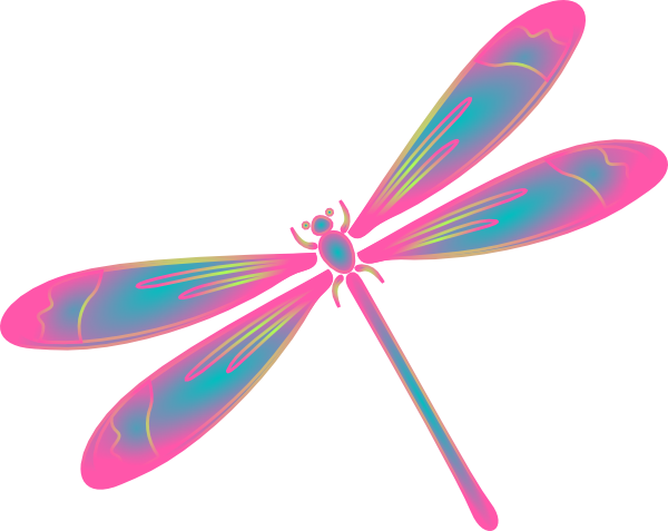 Dragonfly PNG Image Transparent Background