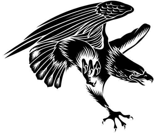 독수리 문신 PNG 투명 이미지