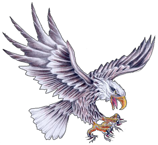 Eagle Tattoo Transparent Images
