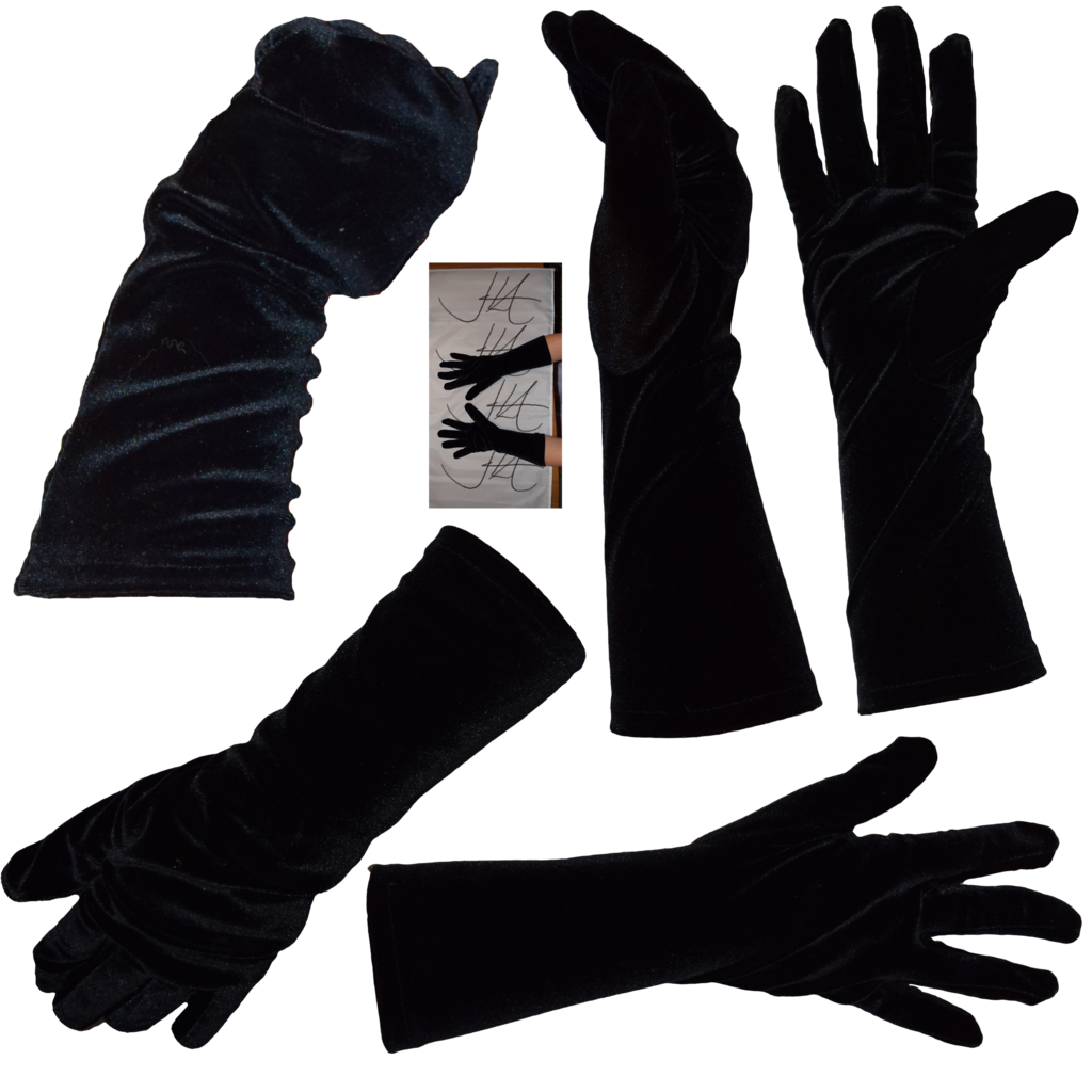 Evening Gloves PNG Download Image
