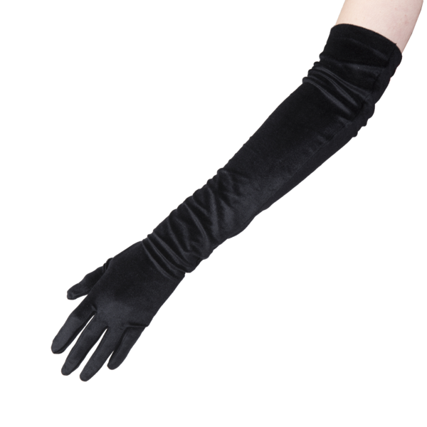 Evening Gloves PNG Picture