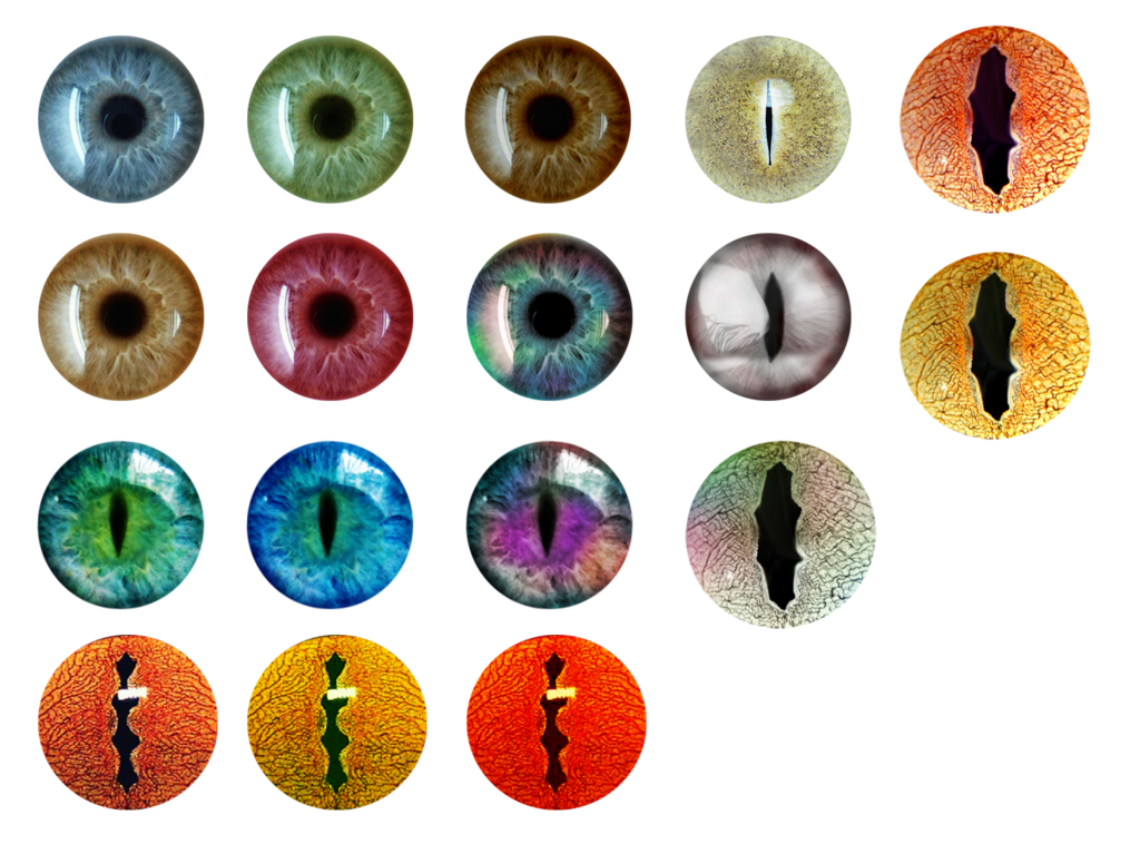 Глаза PNG Image