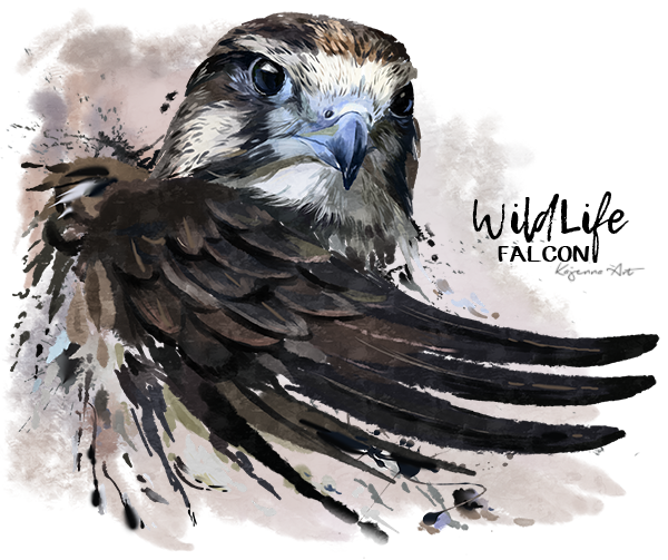 Falcon PNG Transparent Image