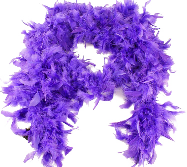 Feather Boa Free PNG Image