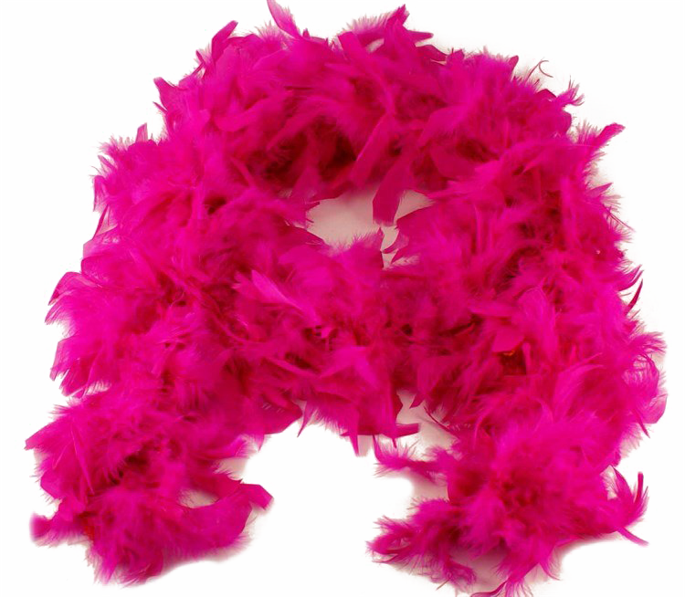 Feather Boa PNG Download Image