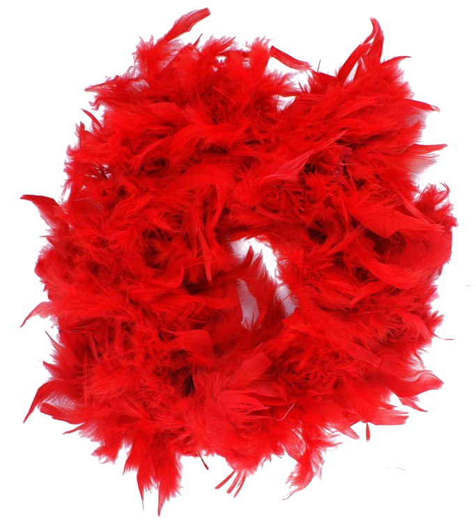 Feather Boa PNG Free Download