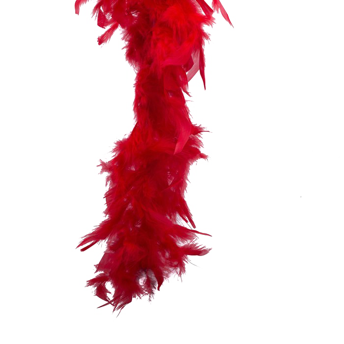 Feather Boa PNG Pic