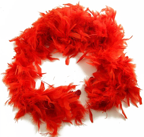 Feather Boa PNG Transparent Image