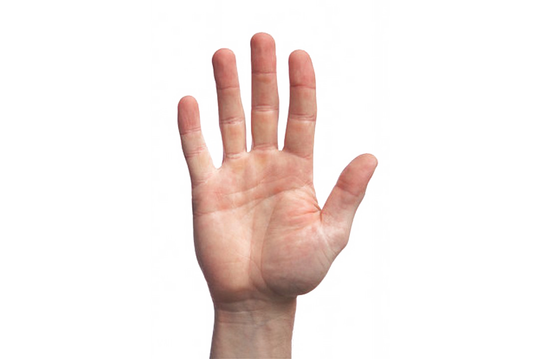 Палец PNG картинка