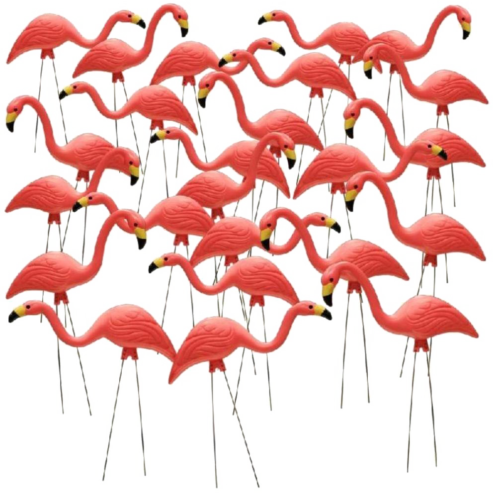 Flamingo Herunterladen PNG-Bild