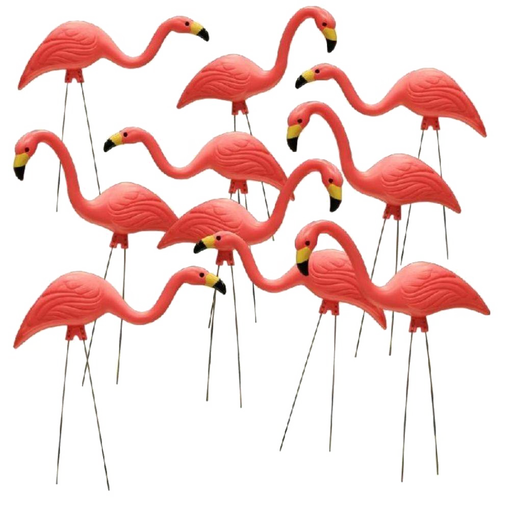 Flamingo Herunterladen Transparentes PNG-Bild