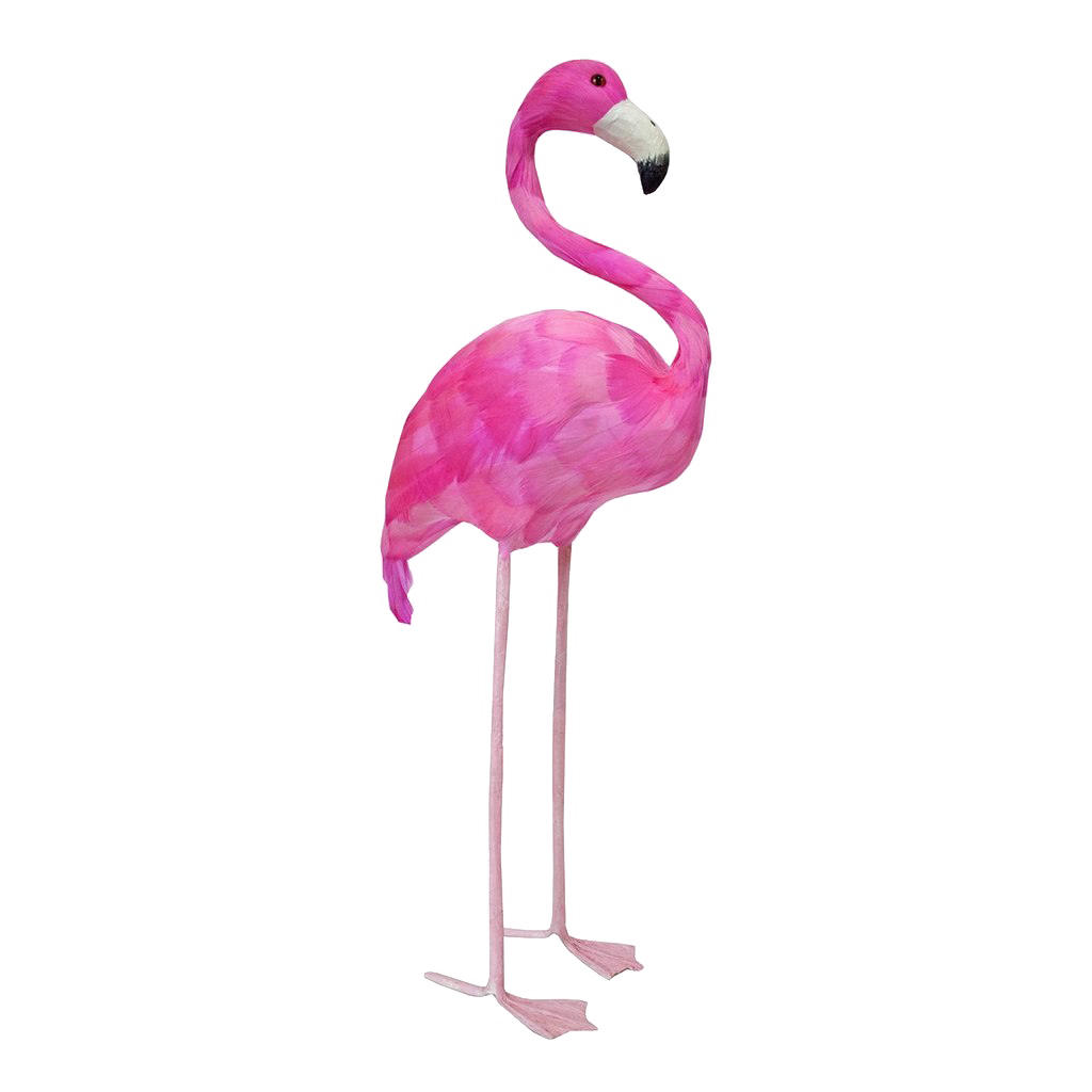 Flamingo PNG-Bild