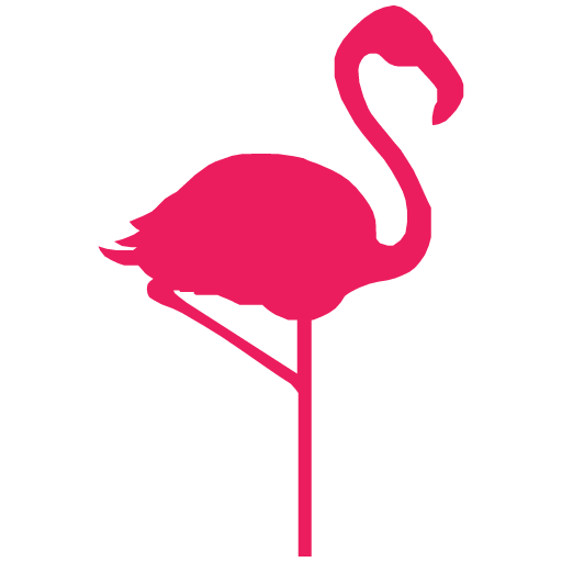 Foto Flamingo PNG