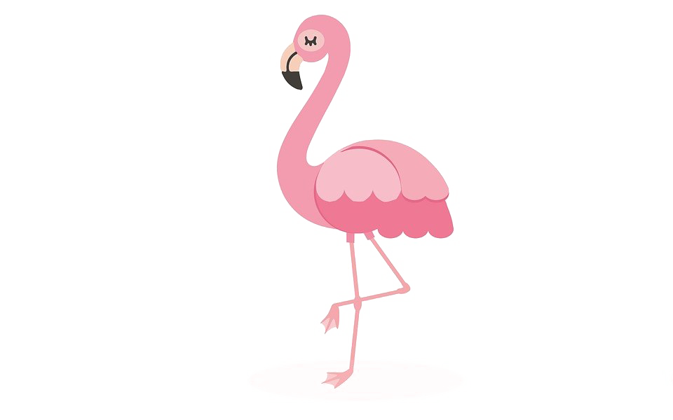 Flamingo PNG Pic
