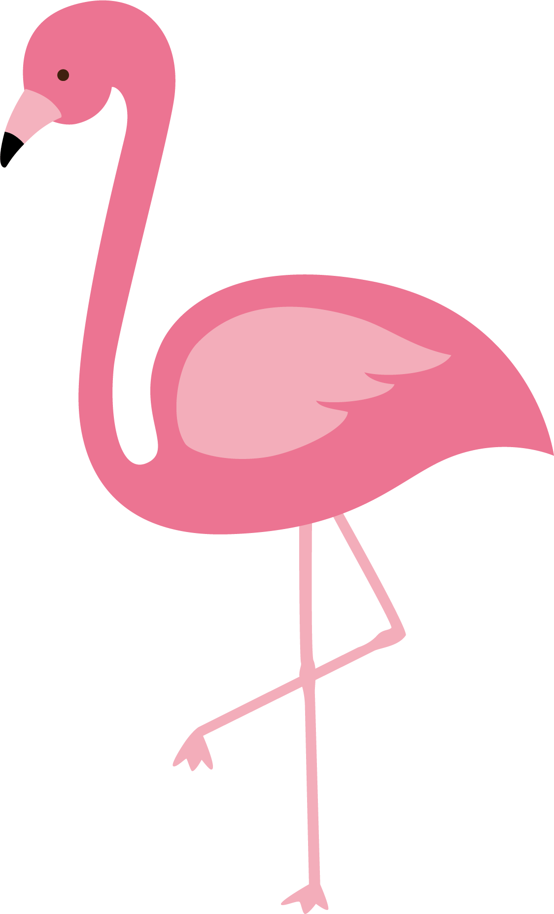Flamingo Transparante achtergrond PNG