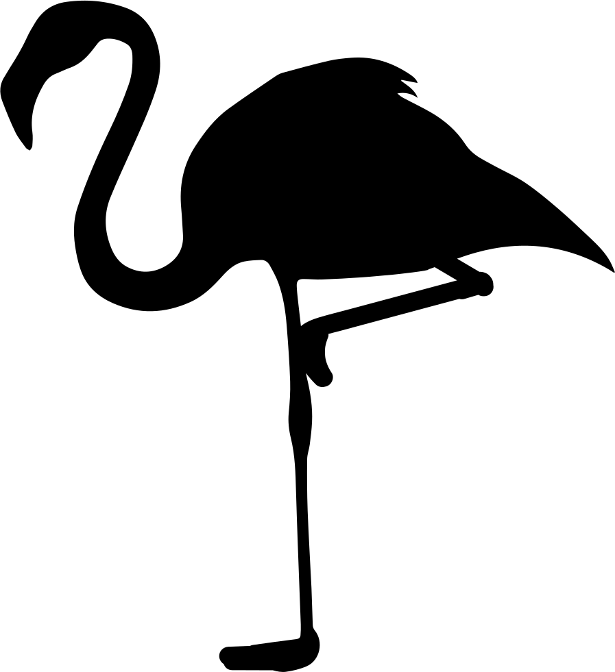 Gambar Flamingo Transparan