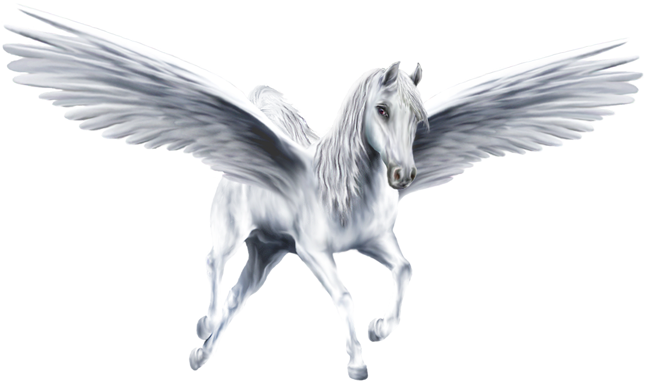 Flying Horse PNG Download Image