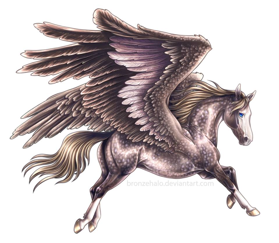 Flying Horse PNG High-Quality Image