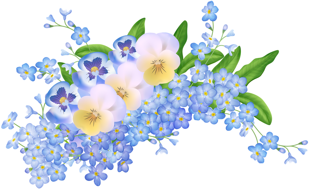 Forget Me Not PNG Free Download