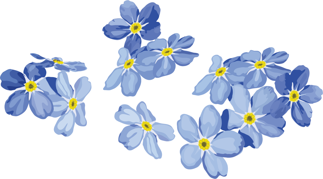 Forget Me Not PNG Image Background