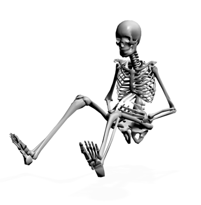 Imagen de alta calidad del esqueleto del cuerpo completo PNG