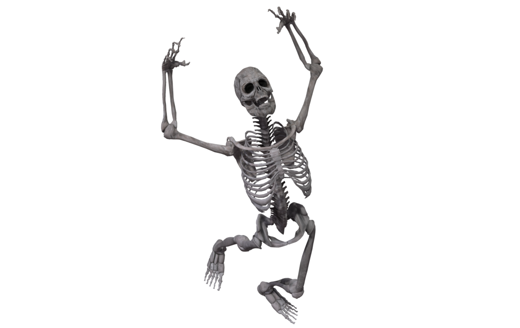 Full Body Skeleton PNG Image Transparent Background