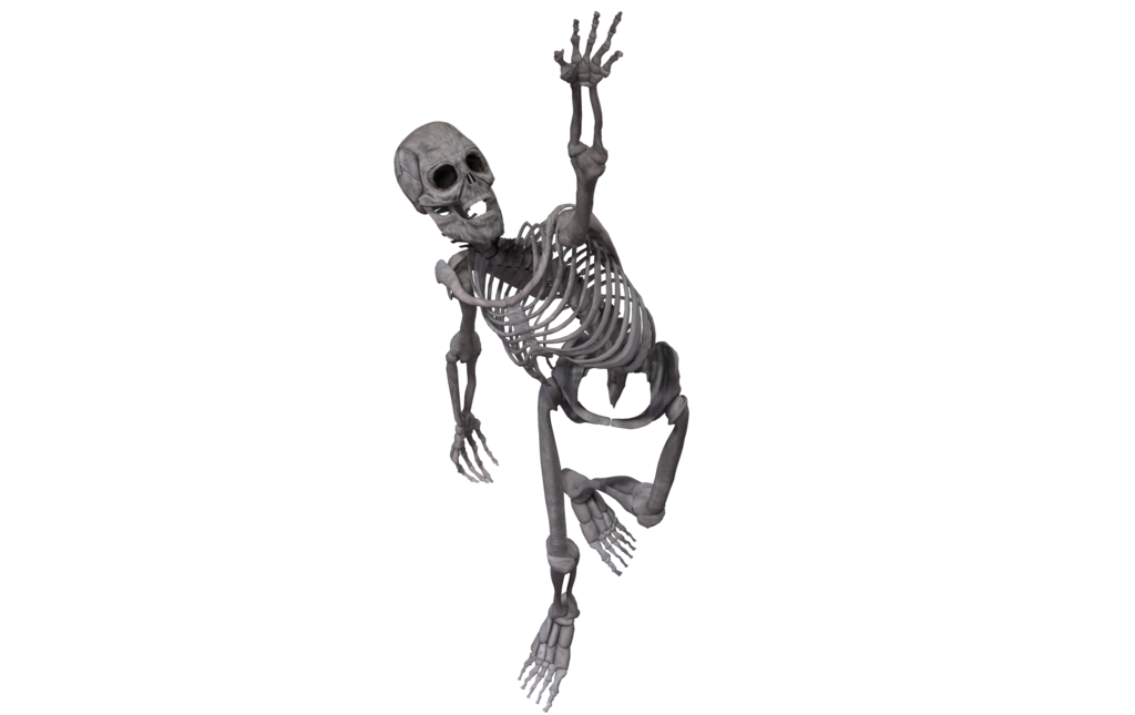 Imagen de PNG de esqueleto de cuerpo completo Transparente