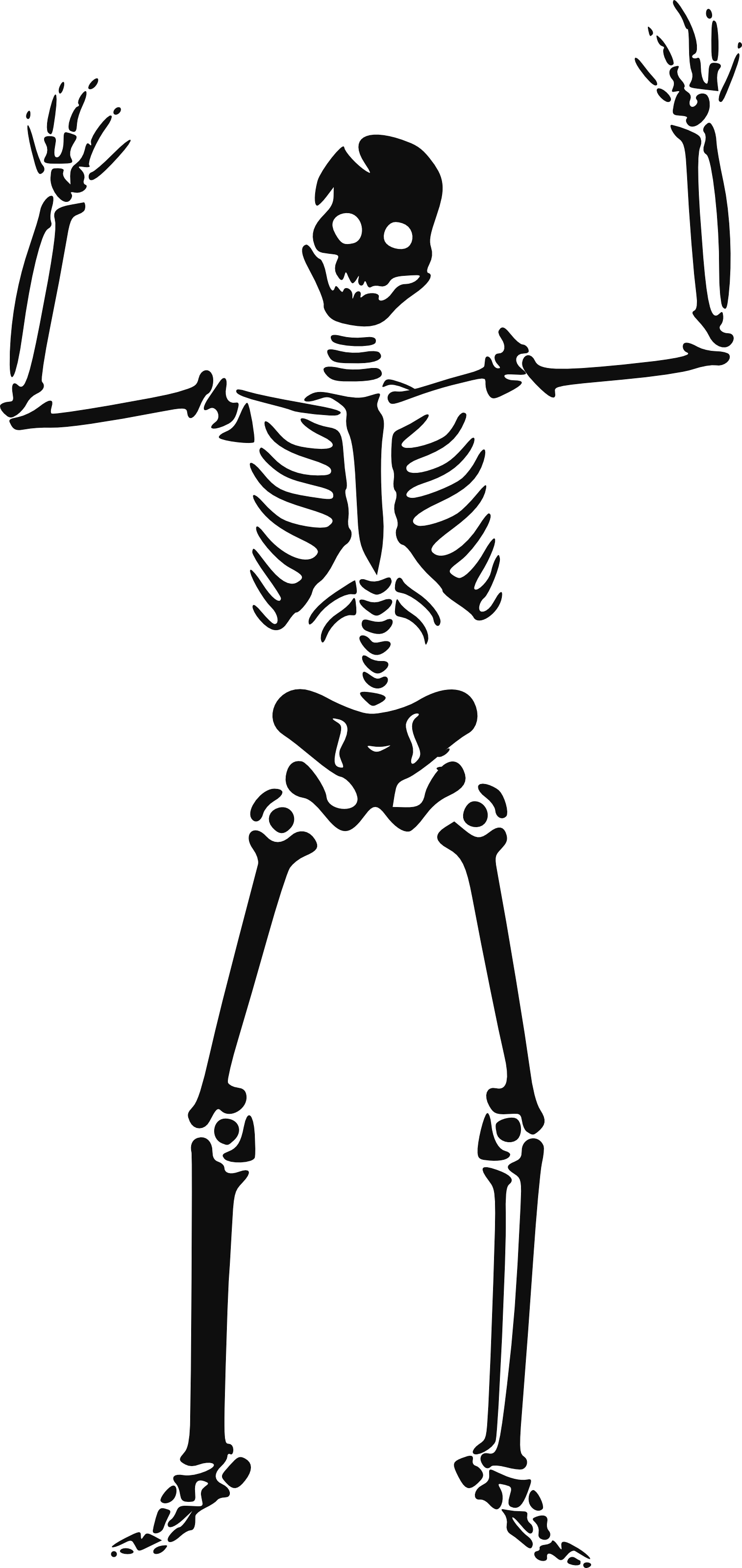 Foto de PNG de esqueleto de cuerpo completo