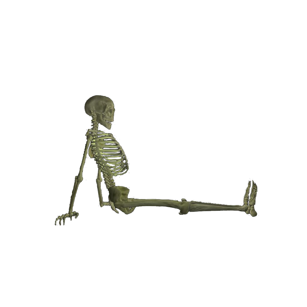 Full Body Foto de PNG esqueleto