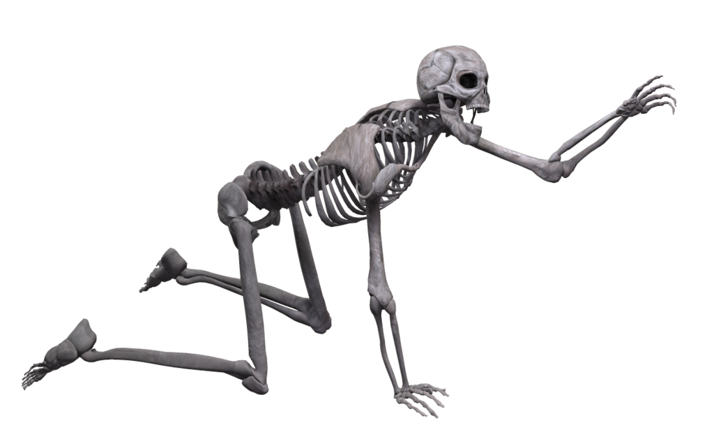 Gambar PNG Skeleton Tubuh Penuh